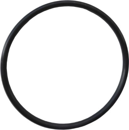 60-0001: Gasket, O-Ring, Hot Tub Heater Replacement 5x5 Flange