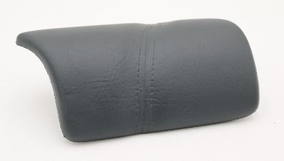 15287: Hot Tub pillow, RGHTHD, DRK GRY