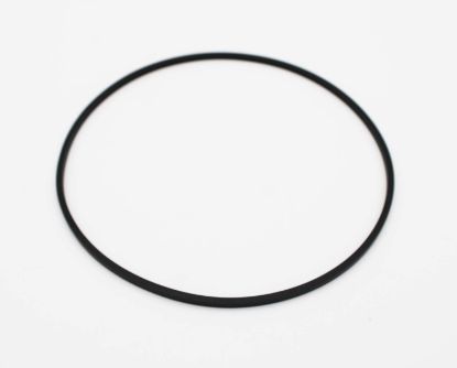 6500-290: O-RING, PMP VOLUTE,THRAMAX/FLO