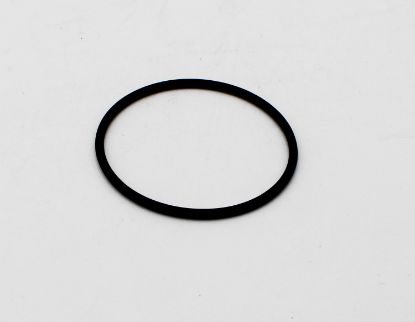 6540-550: O-RING, DIVRTR GATE, JAC '18+